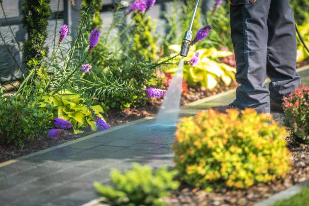Best Pre-Holiday Cleaning  in Gladstone, OR